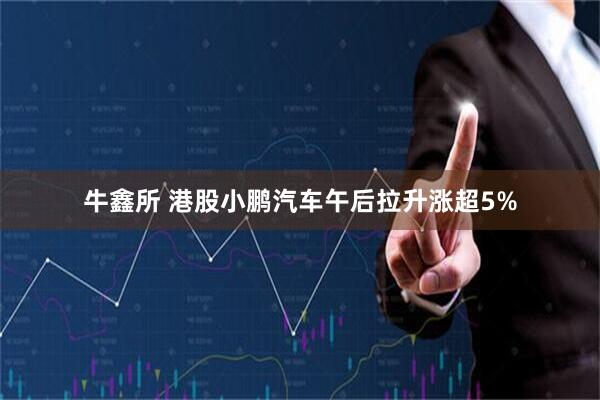牛鑫所 港股小鹏汽车午后拉升涨超5%