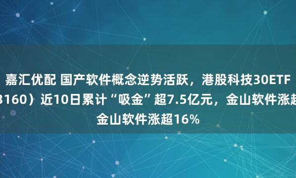 嘉汇优配 国产软件概念逆势活跃，港股科技30ETF（513160）近10日累计“吸金”超7.5亿元，金山软件涨超16%