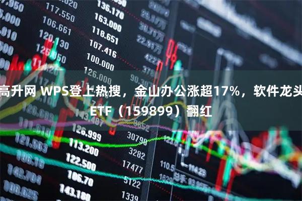 高升网 WPS登上热搜，金山办公涨超17%，软件龙头ETF（159899）翻红