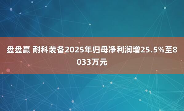 盘盘赢 耐科装备2025年归母净利润增25.5%至8033万元