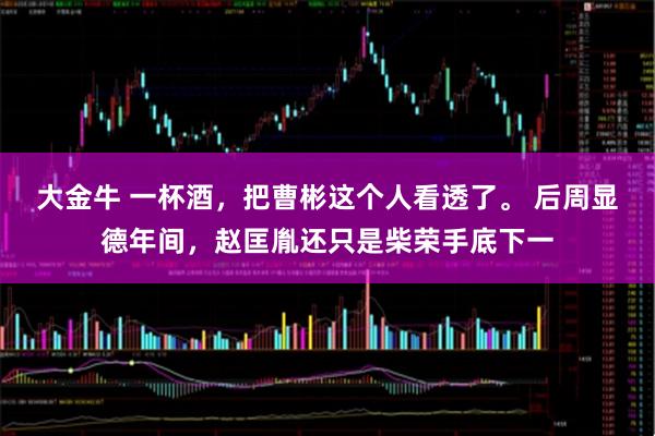 大金牛 一杯酒，把曹彬这个人看透了。 后周显德年间，赵匡胤还只是柴荣手底下一